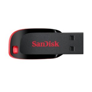 SanDisk Cruzer Blade 6GB USB 2.0 Pen Drive